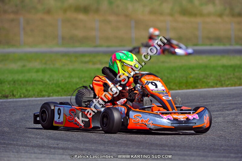 DSC_ (1272).jpg